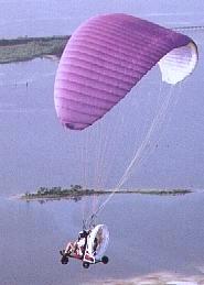 Click here for an enlargement of this image